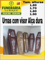 Visualizar
