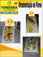 Visualizar