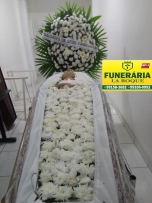 Visualizar
