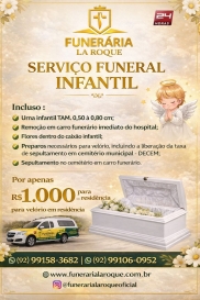 Visualizar