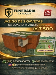 Visualizar